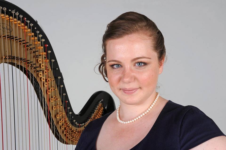 Melody Stein Harpist, LLC