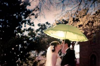 Kim James Photographer