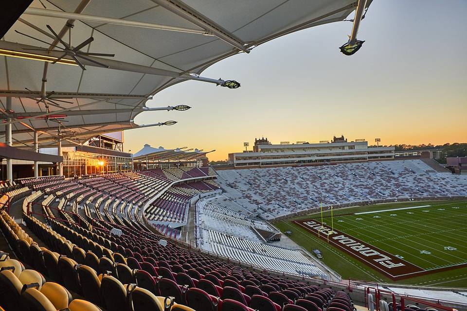 Interior Field View