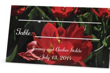 Write On Double Sided Place Cards by 3 Girls Print Design. View More Colors & Style Options Here: http://3girlsprintdesign.wix.com/3girls#!party-accessories/crif