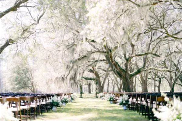 Eden at Gracefield