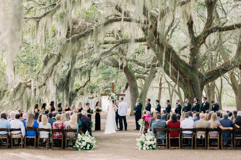 Ceremony under oaks
