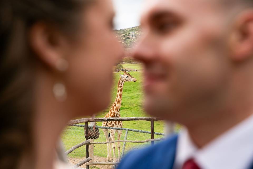 Wild Animal Park Wedding
