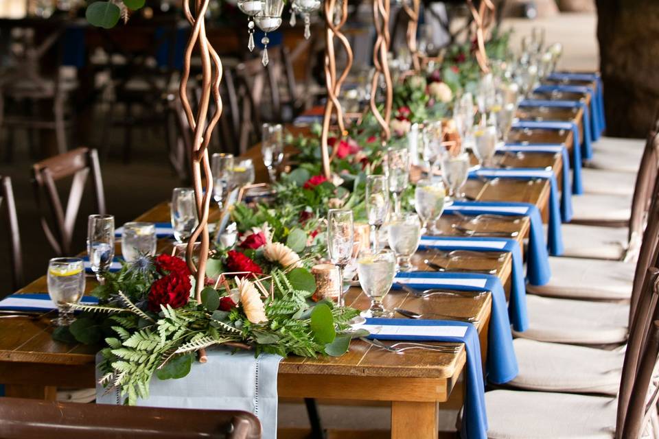 Wild Animal Park Wedding