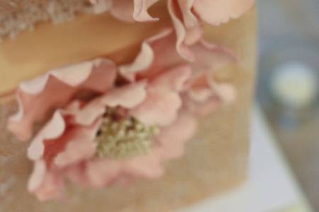 Wedding Masterpiece Pink Cake