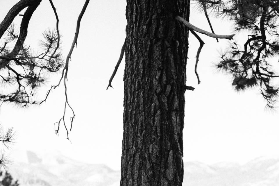 Cordell + Maddie, Yosemite