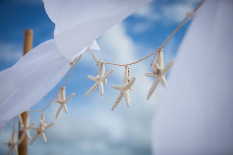 Starfish decoration