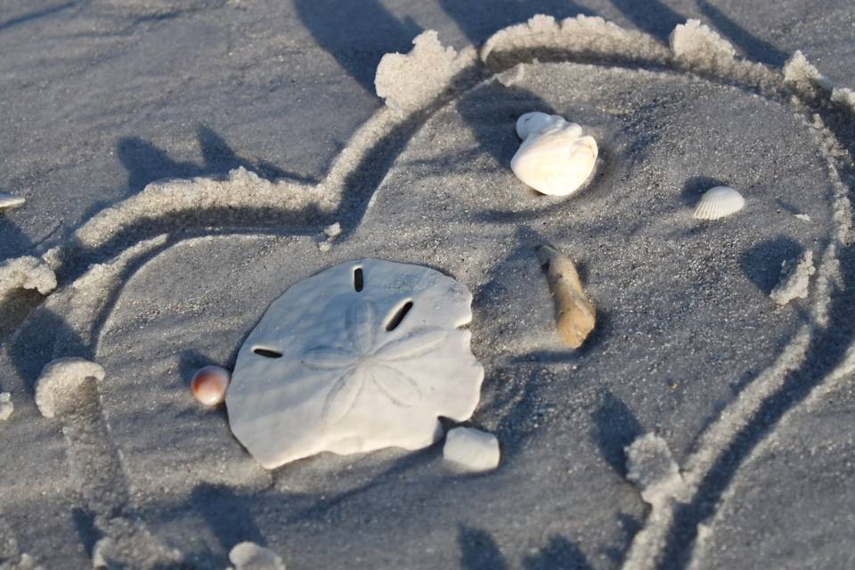 Beautiful sandy beach