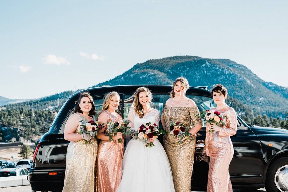 Bride and her bridesmaids