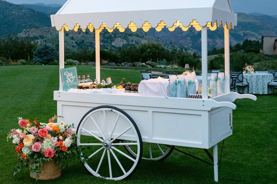 Garden of the Gods Wedding