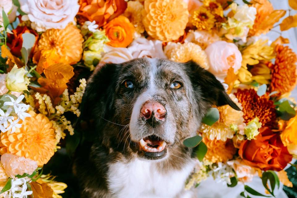 Floral Halo