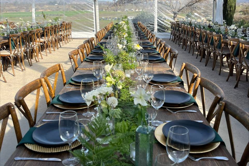Ella's Vineyard
