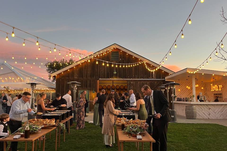 Ella's Vineyard