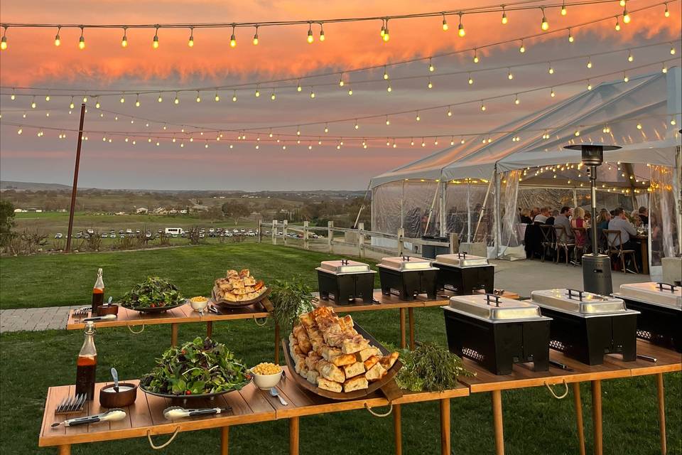 Ella's Vineyard