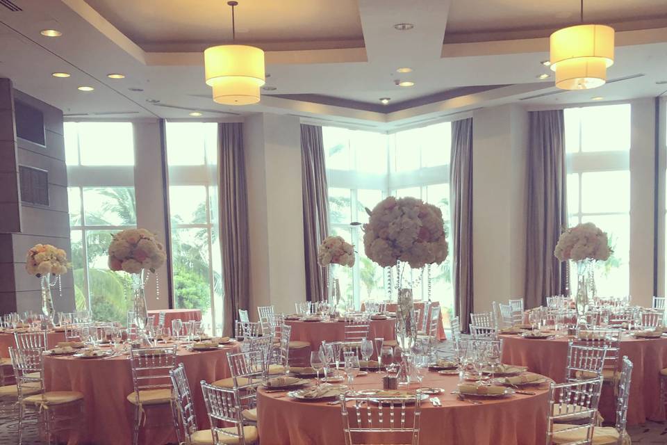 Coral Reception