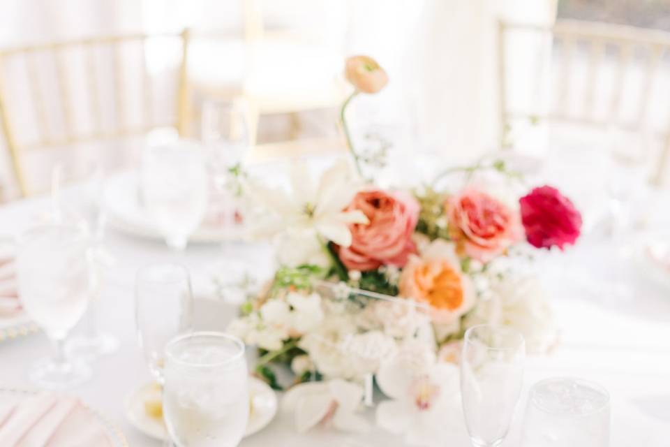 Reception Details