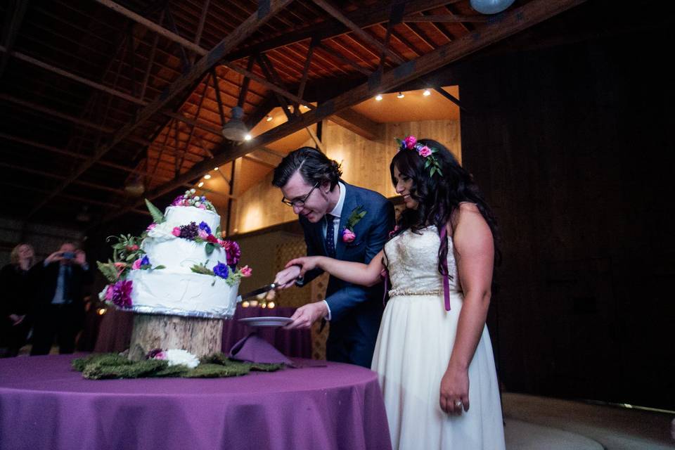 Cake cutting