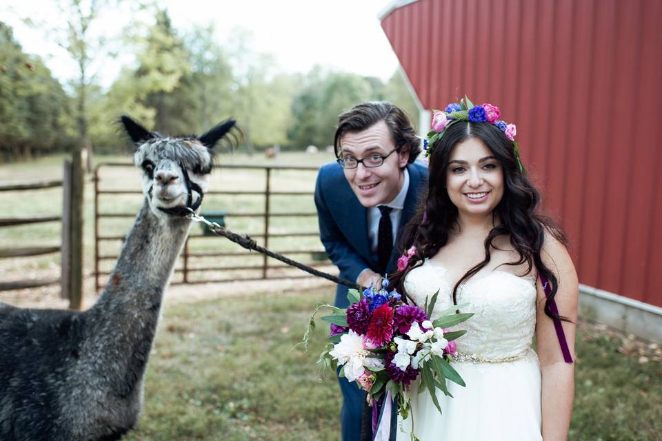 With the llama