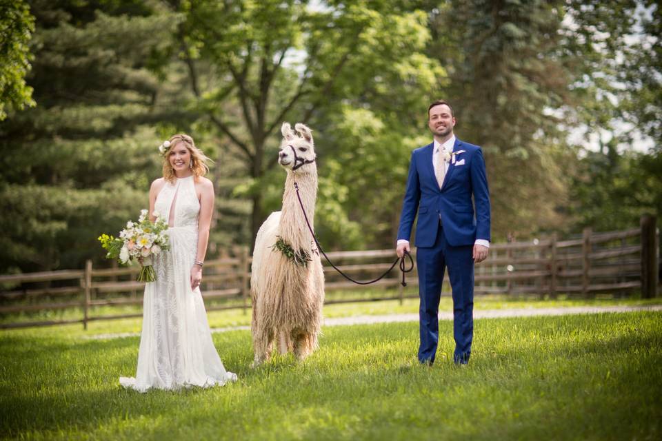 Wedding photoshoot