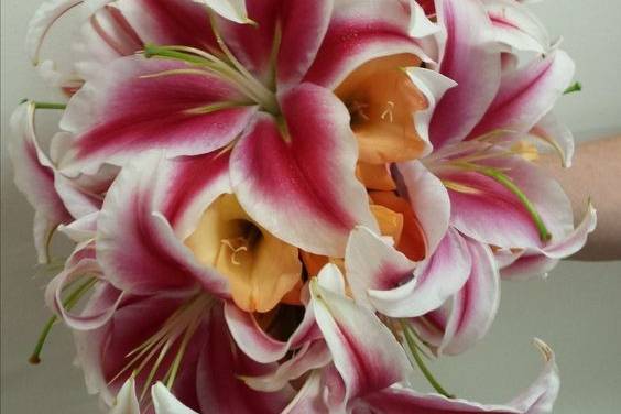 Cascade bouquet - Stargazer lilies, and orange gladiolus. Great for a beach wedding