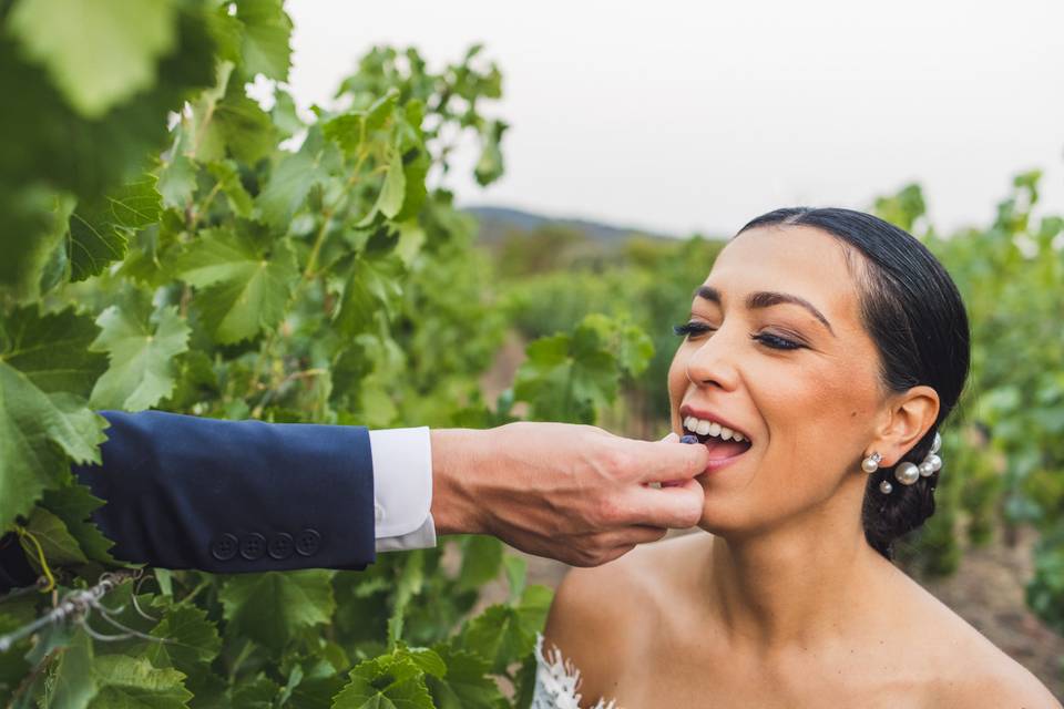Sonoma Winery Wedding