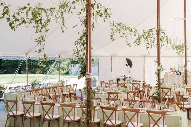 Tent Greenery Reception
