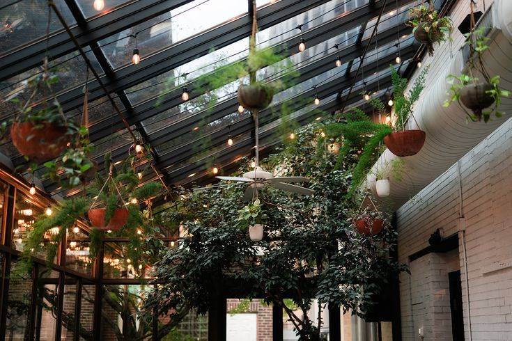 The Greenhouse
