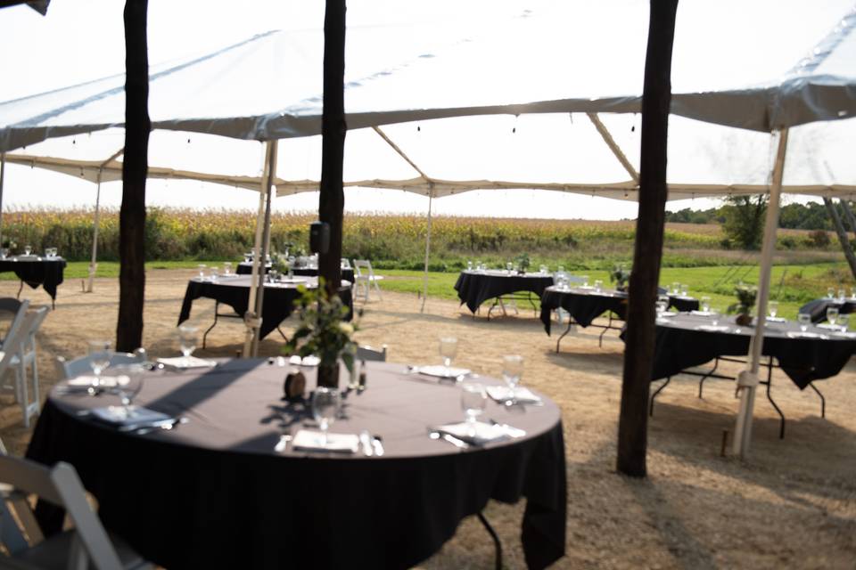 Reception space and tent