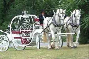 Bronx Equestrian Center