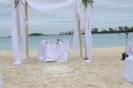 Bahamas Dream Weddings