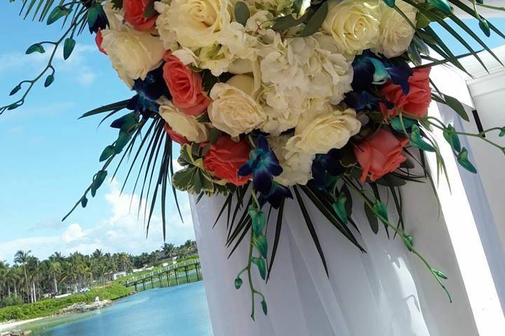 Bahamas Dream Weddings