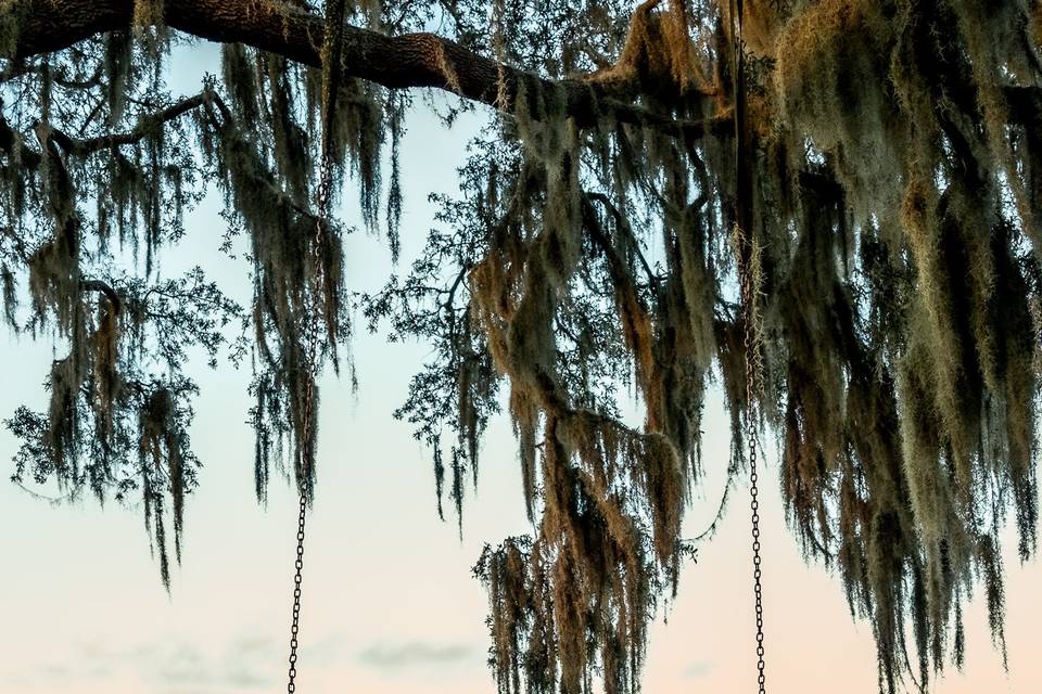 Britt Pearl Photography