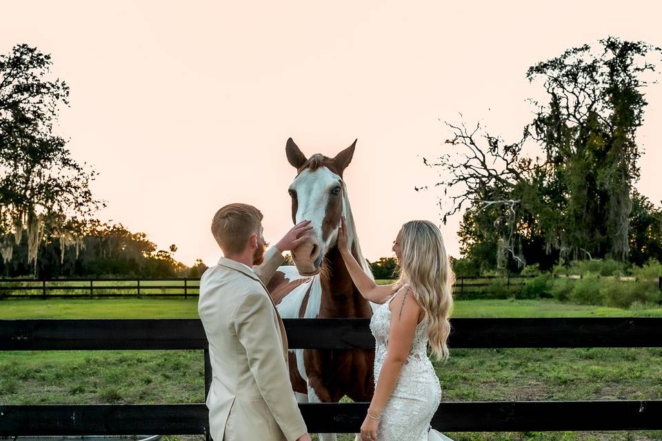 Britt Pearl Photography