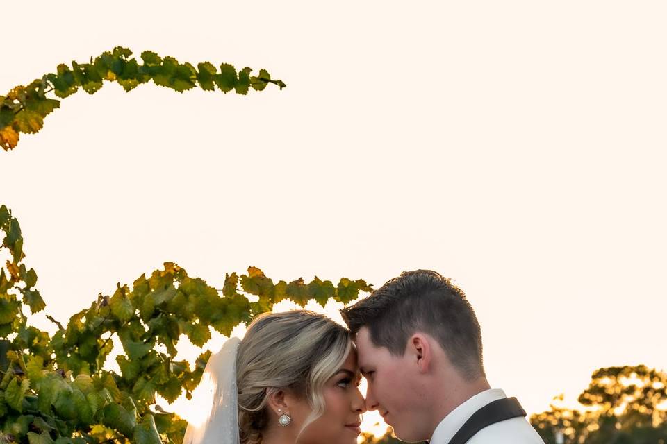 Britt Pearl Photography