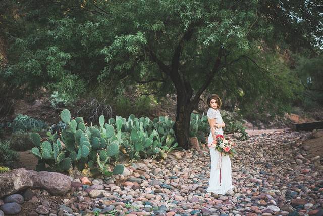 Angela Stewart Photography