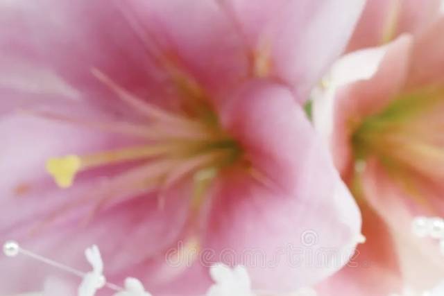 Wedding Flowers