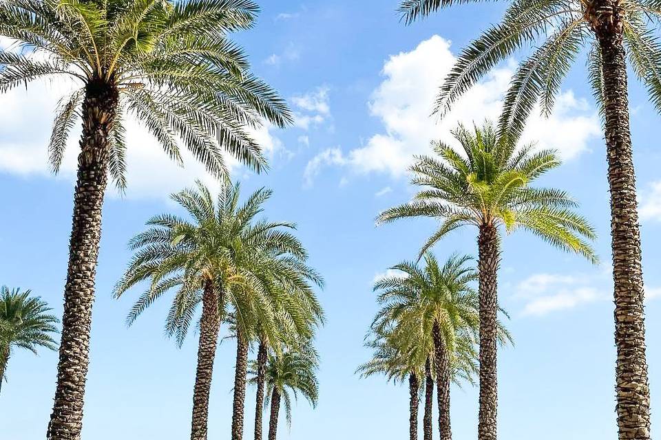 Fort Lauderdale Marriott Harbor Beach Resort & Spa