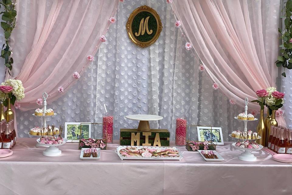 An Elegant standard backdrop