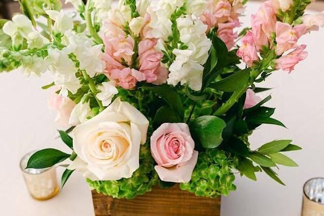 Fresh Flowers
