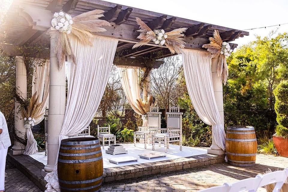 Vine yard Wedding