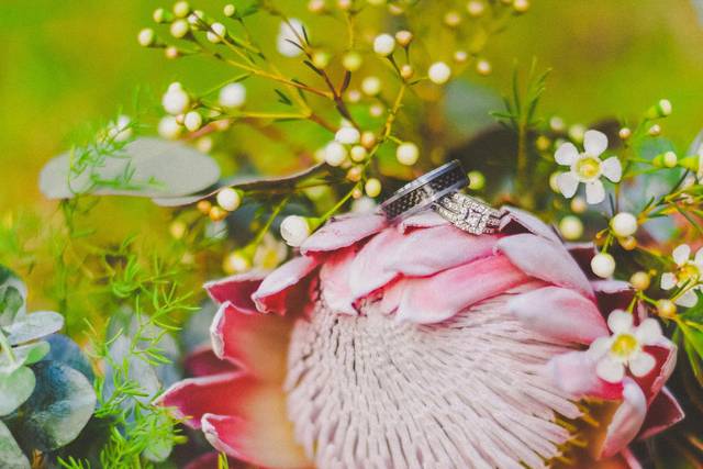 Brandi Lopez Photography
