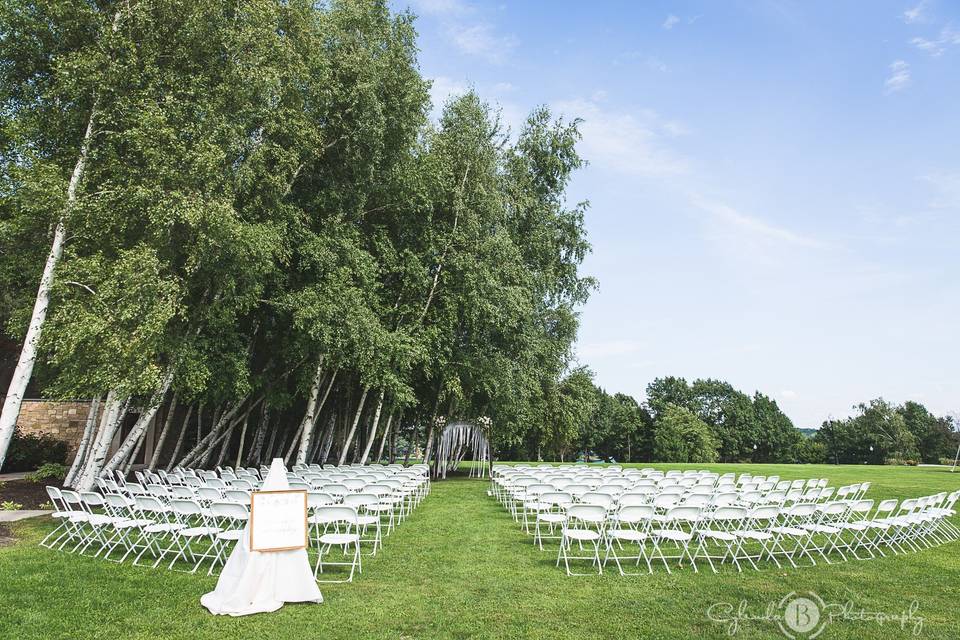 Ceremony Among The Birch Trees