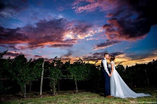 Sunset Within The Vines