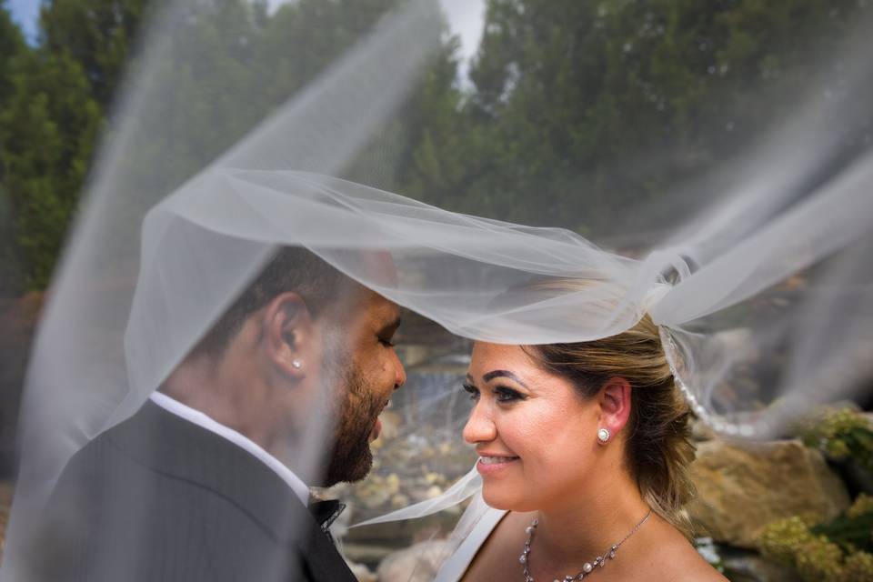 Newlyweds under a veil