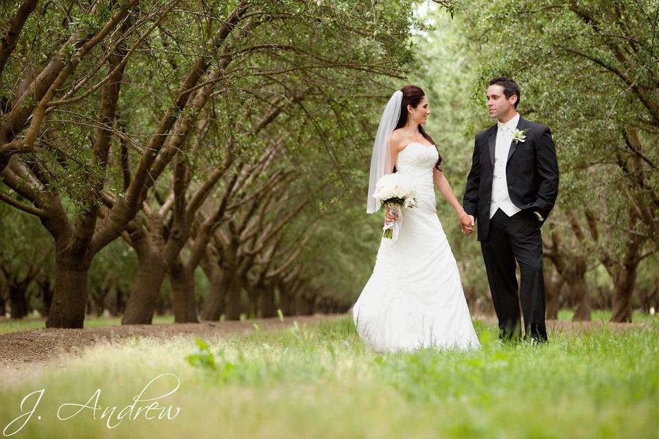 Couple's portrait