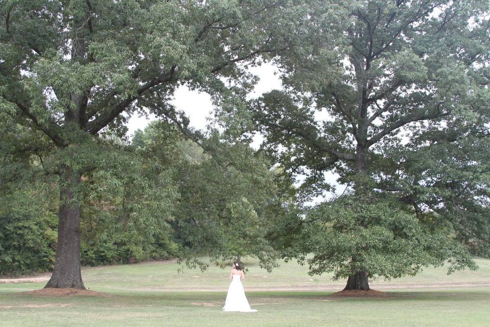 Bridal portrait