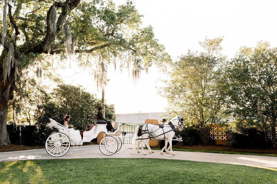 Entrance in the horse-drawn carrigage