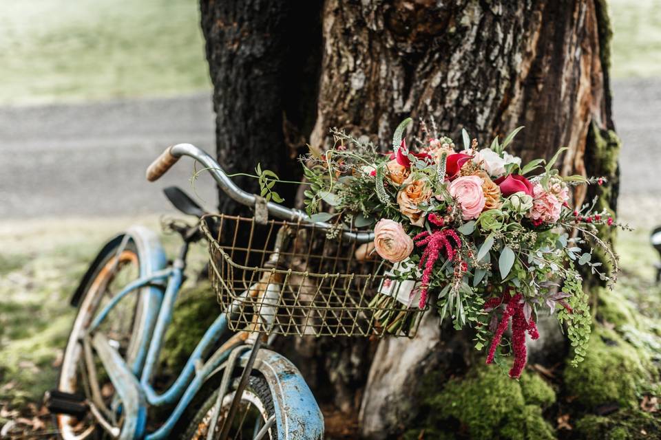 Vintage Bike