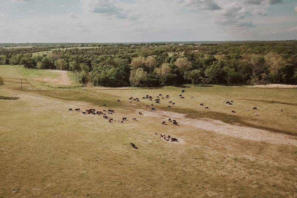 The Headquarters at Bell Cattle Co.