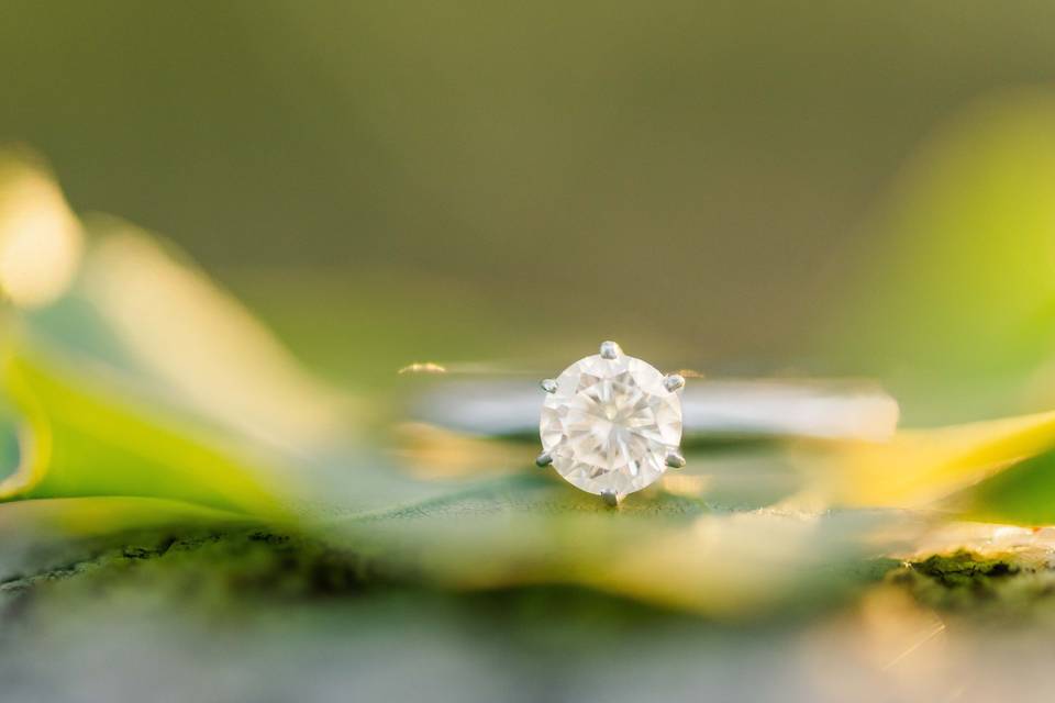 Simple engagement ring